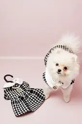 Сукня для собак у стилі Chanel з кольє S - мініатюра 2