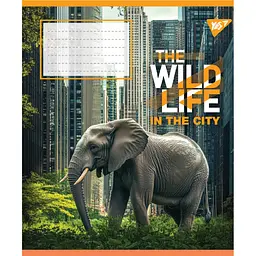 Набір зошитів Yes The wild in the city А5, 24 аркуші 20 шт. (767765) - мініатюра 2