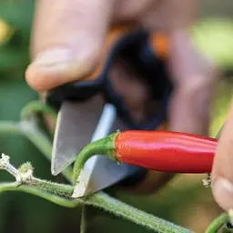 Ножиці для трав Fiskars SP-220 1063326 - мініатюра 6