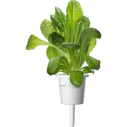 Змінний картридж Click & Grow Smart Garden Салат Ромен, 3 капсули (8820)
