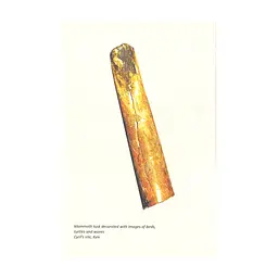 Книга A history of Ukraine. A short course - Oleksandr Palii А-ба-ба-га-ла-ма-га (9786175852095) - мініатюра 8