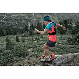 Шкарпетки Dynafit Alpine Short 35-38 Помаранчевий - мініатюра 2