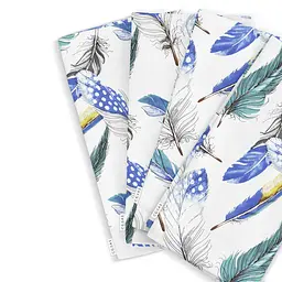 Набір із 4-х серветок 30х30 MINT FEATHER COSAS (4822052067185)