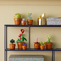 Конструктор LEGO Botanicals Мініатюрні рослини 758 деталей (10329) - мініатюра 4