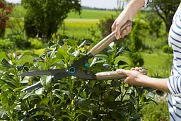 Ножиці для живоплоту механічні Gardena NatureCut та секатор Classic 8754 (12300-30) - мініатюра 3