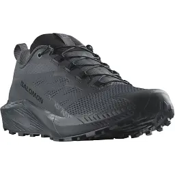 Кросівки Salomon Sense Ride 5 SR 9 Indink