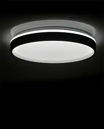 Люстра із пультом світлодіодна, стельовий світильник Goldlux 326676 Jadwiga 50 Led 1x72W 3000K-6000K 8000Lm IP44 Bk - мініатюра 2