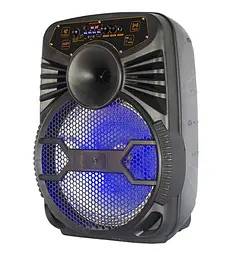 Портативная колонка BIG AVEN-X12 75W, USM/MP3/FM/Bluetooth + микрофон