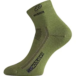Шкарпетки Lasting WKS 689 Green M (1054-002.003.1834)