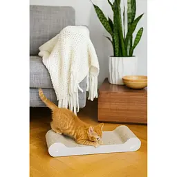Дряпка Trixie Junior для кошенят з котячою м'ятою картон світло-сіра 38х6х18 см [CD] - мініатюра 4