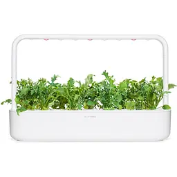 Змінний картридж Click & Grow Smart Garden Рукола, 3 капсули (8769) - мініатюра 5