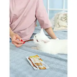 Ласощі GimCat М'ясні палички для котів з лососем та манго, 3 шт. по 5 г - мініатюра 5