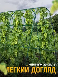 Садова опора-арка для витких рослин з сіткою (2.4 м) — Металевий каркас для огірків, квітів, винограду та клематисів - мініатюра 5