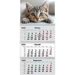 Календар настінний Axent Cats на пружинах квартальний на 2026 рік (8803-26-13-A)