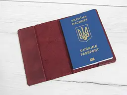 Шкіряна обкладинка для паспорта GS бордова (об 001 бор) 140 - мініатюра 2