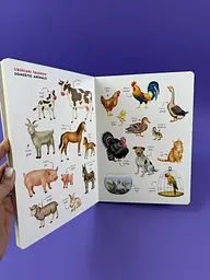 Книга з аудіо. Мої перші англійські слова. Я і мій дім С2047002У - мініатюра 2