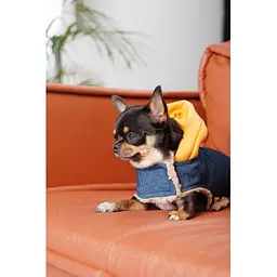 Шлея-жилет Pet Fashion Poppy для собак розмір XS - мініатюра 7