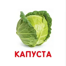 Фрукти й овочі. Перша книжка малюка - мініатюра 5