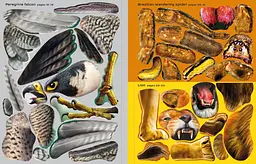 Build Your Own Deadly Animals - Simon Tudhope, англ. мова (9781474985284) - мініатюра 4