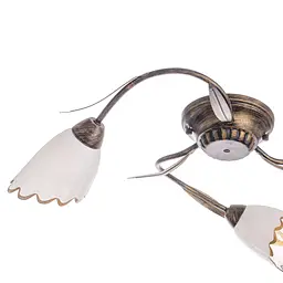 Люстра стельова Brille флористика E14 60W BR (LK-149C/3) - мініатюра 2