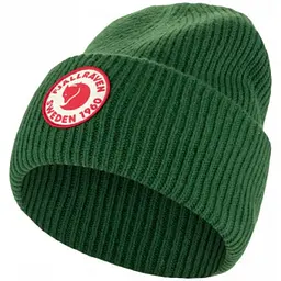 Шапка Fjallraven 1960 Logo Hat Palm Green (1004-78142.678)