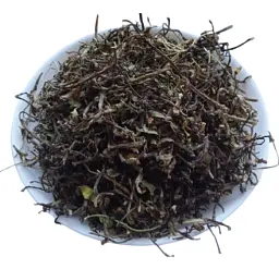 Портулак городній Трава Portulaca oleracea - мініатюра 1