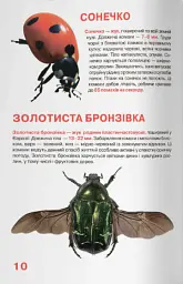 Велика книжка. Комахи - Олег Зав'язкин - мініатюра 4