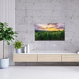 Телевізор Thomson Android TV 55'' QLED Ultra HD 4K (55QA2S13) [139516] - мініатюра 6