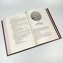 Мстивий - Вікторія Шваб | Nebo Booklab Publishing, книга українською, нова, тверда - мініатюра 3
