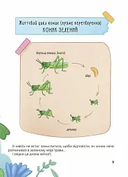 Дивовижні перетворення. Хто ховався у яєчку - мініатюра 6