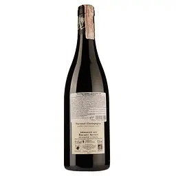 Вино Thierry Germain Domaine des Roches Neuves Saumur-Champigny Outre Terre 2017 АОС/AOP, 12,5%, 0,75 л (766693) - мініатюра 2