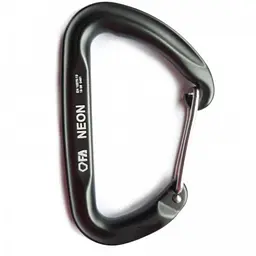 Карабін First Ascent Neon Сірий (1060-FA 7015 04)