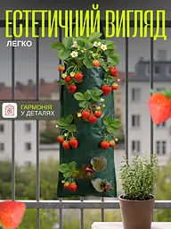Підвісна вертикальна грядка на 10 кишень (3 шт.) - мініатюра 3