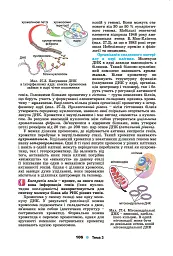 Біологія і екологія 10 клас - мініатюра 5