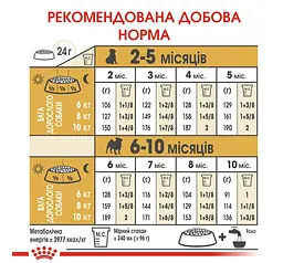Сухий корм для цуценят породи мопс Royal Canin Pug Junior 1.5 кг 41300151 - мініатюра 2