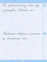Тренажер для списування речень і текстів - Анастасія Фісіна - мініатюра 12