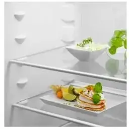 Холодильник Electrolux RNT6NE18S з морозильною камерою - мініатюра 5