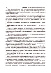 Основи клінічної морфології зубів - Рудольф Самусев - мініатюра 5