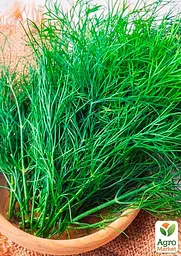 Насіння Agro-Market Кріп Кущовий на вагу ціна за 20 г (13352) - мініатюра 2