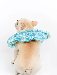 Ветеринарний комір для котів і собак Derby Elizabeth Collar DC0188-03, M - мініатюра 5