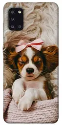 TPU чохол Demsky Sleepy spaniel для Samsung Galaxy A31