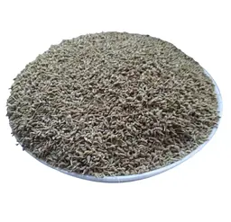 Аніс Насіння Ганус Pimpinella anisum 1 кг