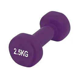Гантелі вінілові PowerPlay 4125 Achilles 2 шт. x 2.5 кг фіолетові (15268) - мініатюра 4