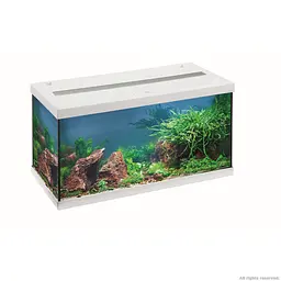 Акваріумний комплект Eheim aquastar 54 LED білий (0340646) - мініатюра 2