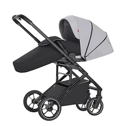 Всесезонна прогулянкова коляска Carrello Alfa CRL-5508 BF Feather Grey з реверсивним блоком