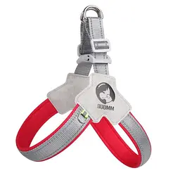 Шлея для собак Derby Duomm Pet harness FH106, S Червоний