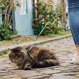 Набір для котів Шлея-повідець Max & Molly Harness Tropical 1 розмір  - мініатюра 4