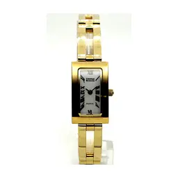 Наручний годинник Christian Bernard NS7526BE