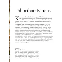 Kittens - Олдертон Девід - мініатюра 2