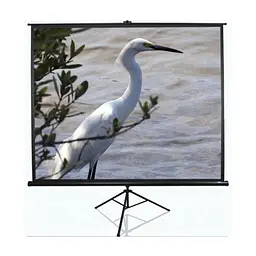 Проекційний екран T84UWV1 Elite Screens